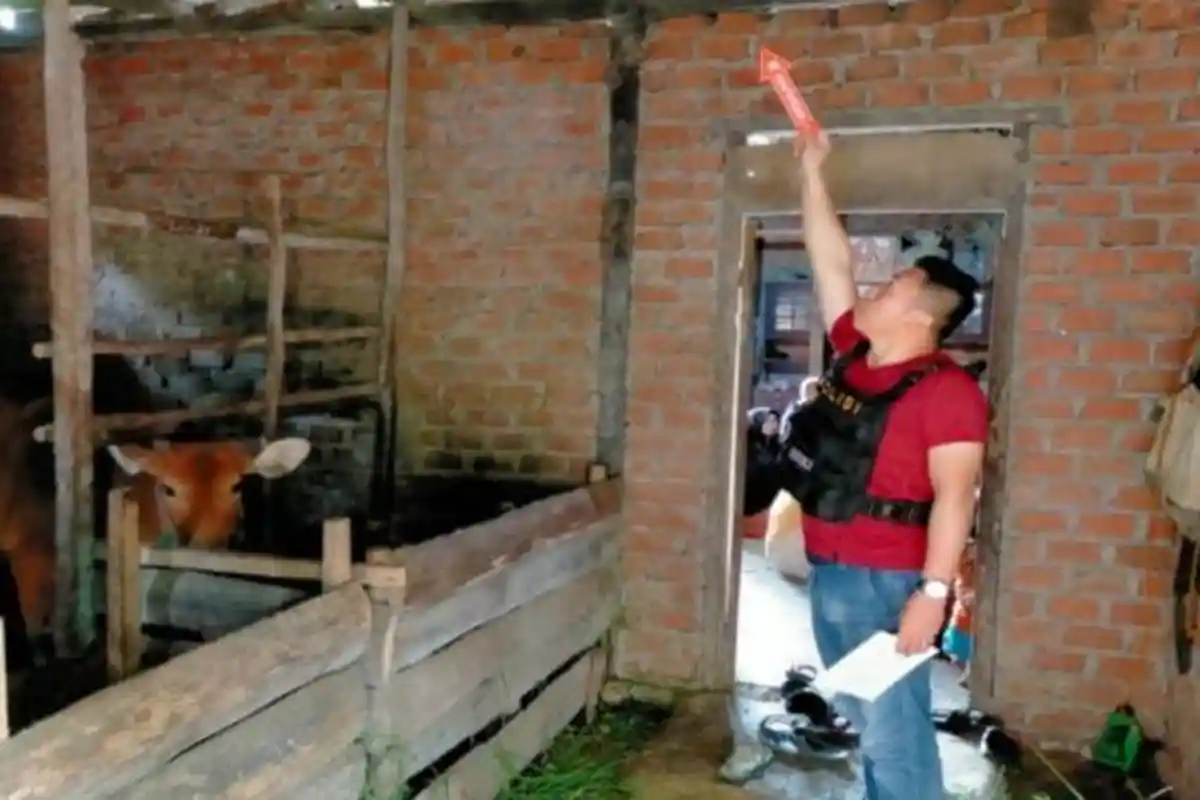 Diduga Bunuh Diri, Seorang Pria Paruh Baya di Musi Rawas Ditemukan Tewas Tergantung di Kandang Sapi