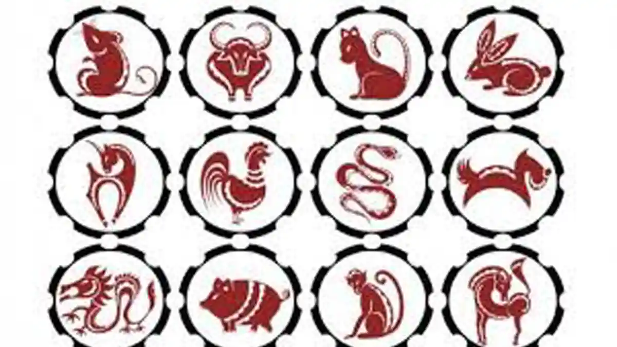 Shio 2020 - Ramalan Shio Sabtu 3 Oktober 2020, Cek Peruntungan Shio Sabtu 3 Oktober 2020