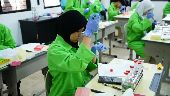 Biaya Kuliah per Semester Program Studi S1 UMM 2026: Komponen dan Sistem Pembayaran