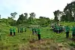 20260504-Persit-Bone-Tanam-Ratusan-Bibit-Pohon-di-Desa-Mallari.jpg