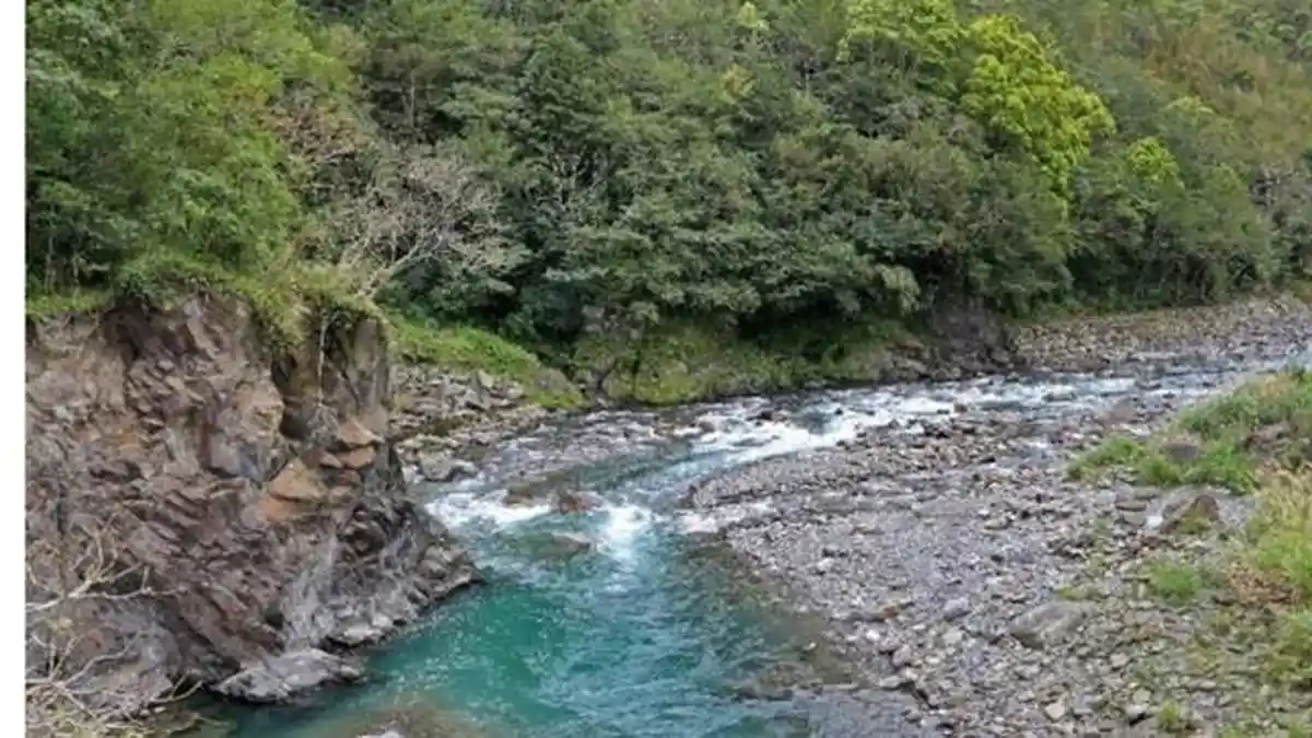 Kunci Jawaban Tema 9 Kelas 4 SD, Manfaat Sungai dan Pohon dalam Kehidupan Manusia
