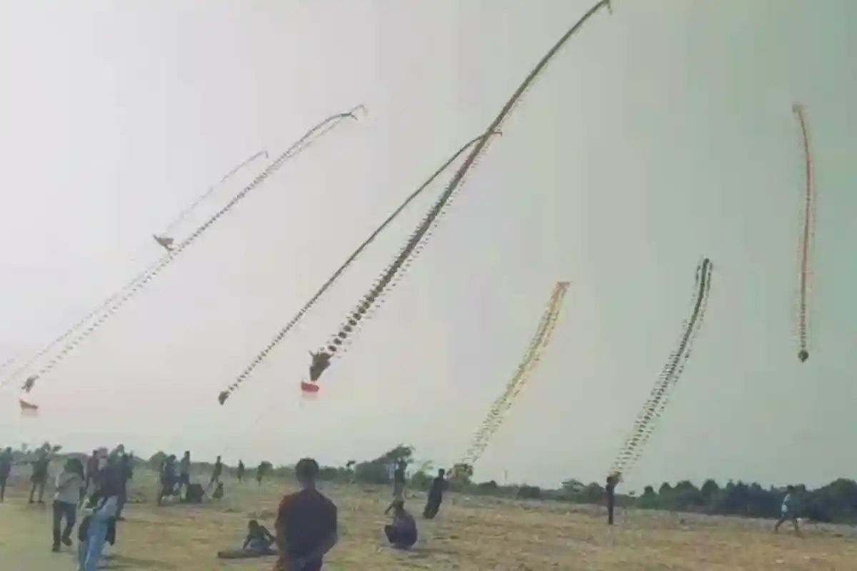 Puluhan Layang-layang Naga Hiasi Langit Pantai Kedu Warna Kalianda Lampung Selatan