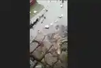 Warga-desa-Percut-Sei-Tuan-digegerkan-dengan-adanya-penemuan-mayat-bayi_.jpg