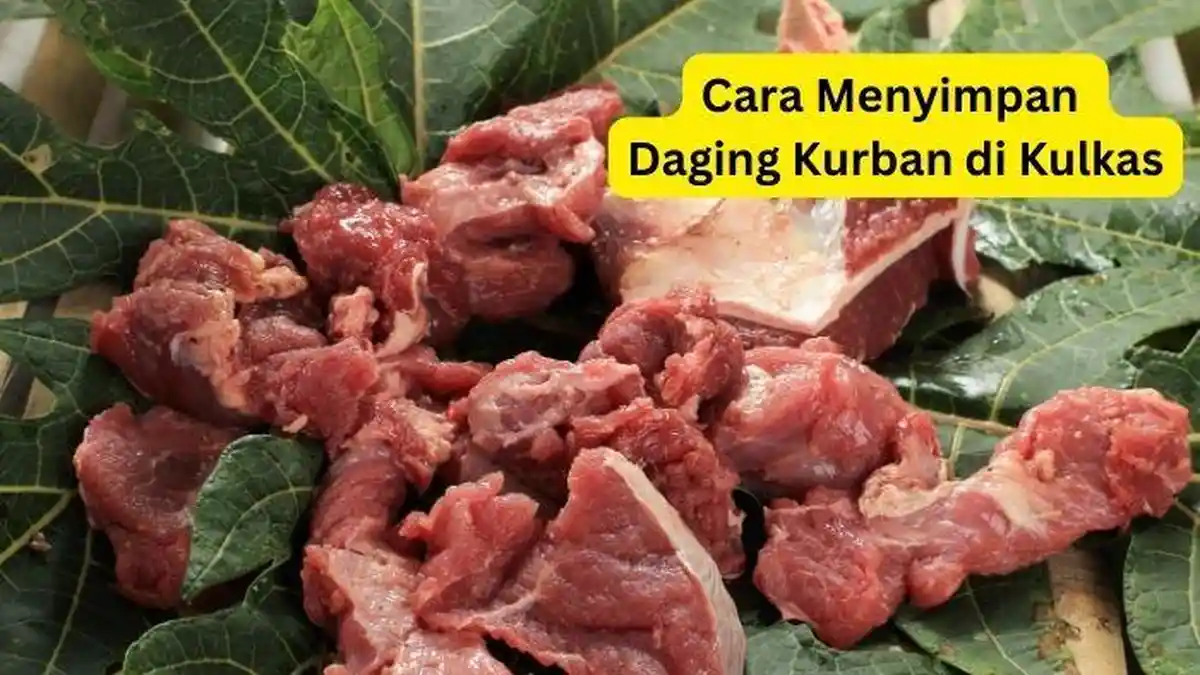 Cara Menyimpan Daging Kurban Idul Adha 2023 di Kulkas yang Benar Agar Tidak Cepat Busuk