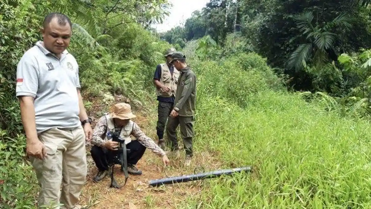 Pulang dari Ladang, Kakek di Sumbar Diserang dan Digigit Beruang Madu, Korban Dapat 50 Jahitan 