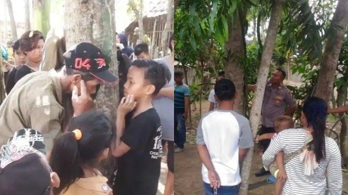 Asal Mula dan Dugaan Penyebab Pohon Menangis di Jember yang Buat Heboh dan Resah Warga