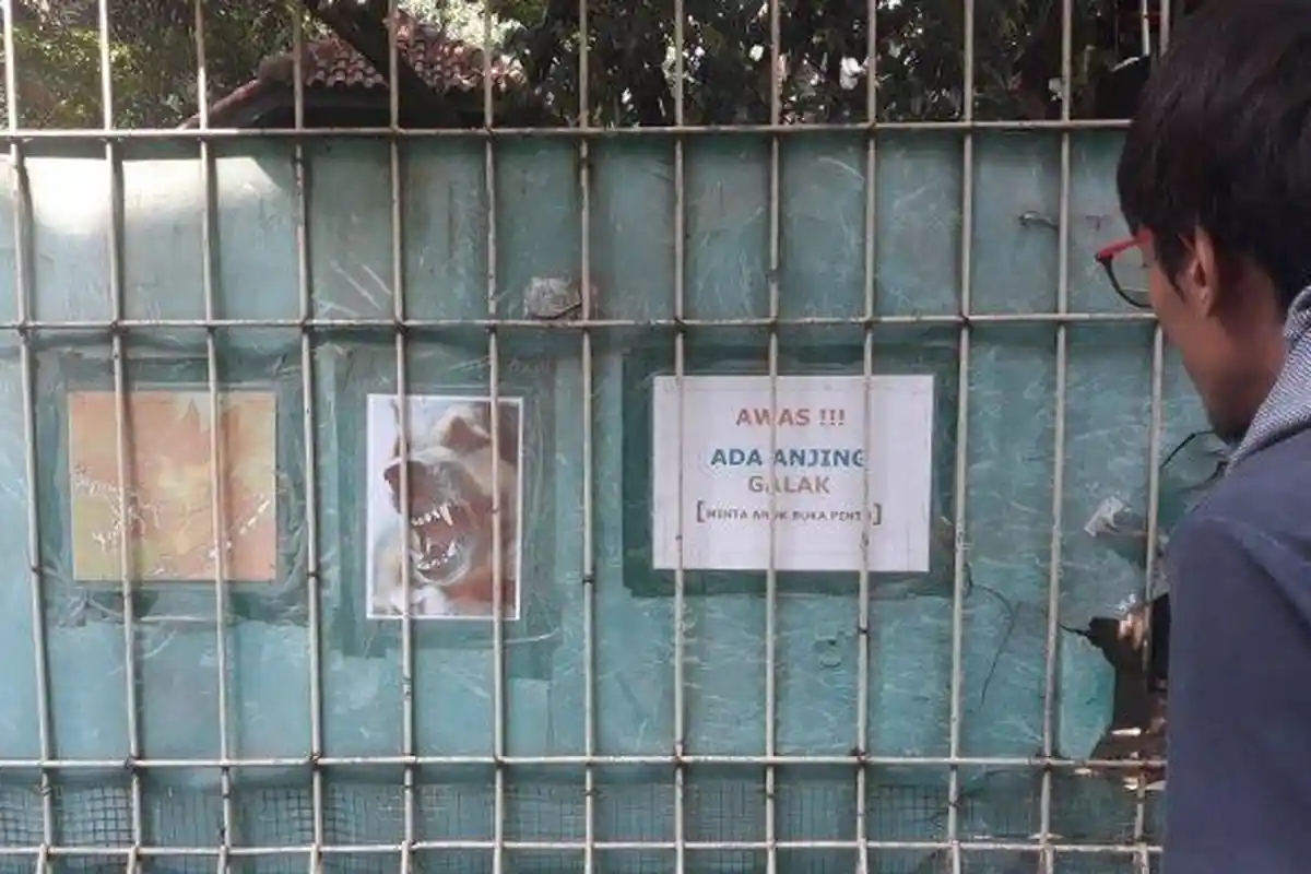 Mengenal Anjing Malinois Belgian yang Menewaskan ART di Cipayung, Tipe Anjing Pemburu yang Ganas