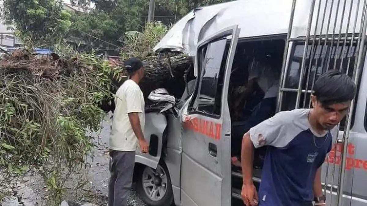 Sebuah Minibus Tertimpa Pohon, Seorang Balita Tewas, Pengemudi dan Penumpang Lainnya Luka-luka