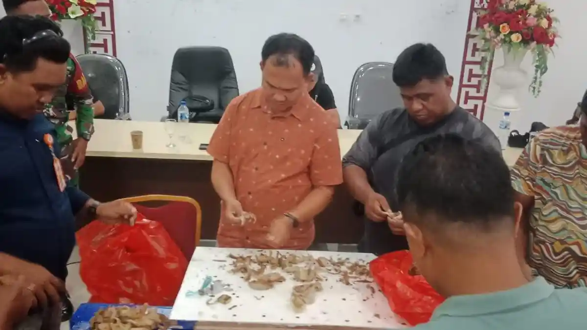 Adwin Pratama Menang Lelang Sarang Walet Pulau Kalama Sangihe, Harga Tembus Rp 4,75 Juta per Kg