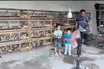 CERITA Peternak Puyuh di OKU Timur, Sempat Terhenti Kini Bangkit Buktikan Ketahanan Ekonomi Desa