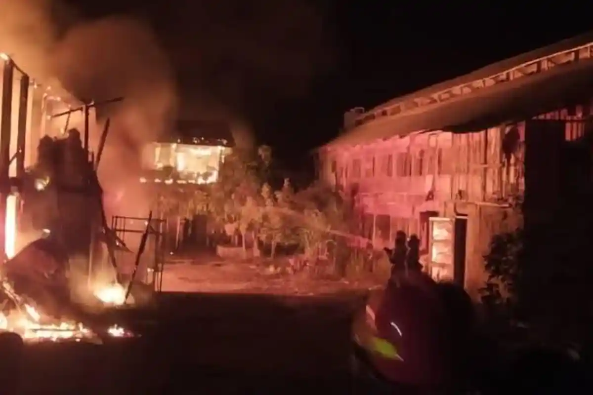 Kandang di Lombok Timur Terbakar: Ribuan Ayam Hangus, Kerugian Ratusan Juta