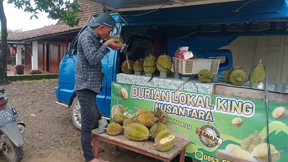 Mitos Durian Sisa Bajing Bisa Mengatasi Kemandulan, Banyak Diburu Warga Pati