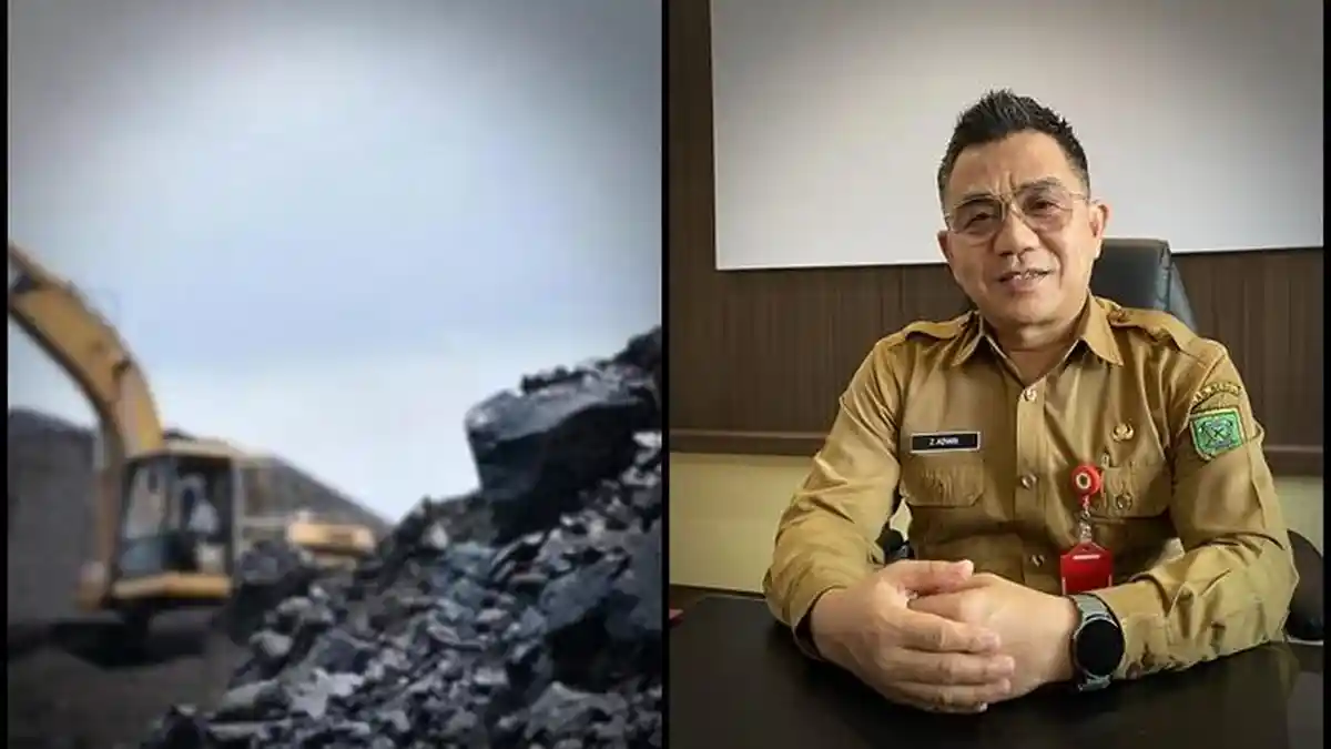 Dampak Perusahaan Tambang Tutup di Berau, 1.000 Orang Terancam di-PHK, Pemerintah Harap Warga Tenang