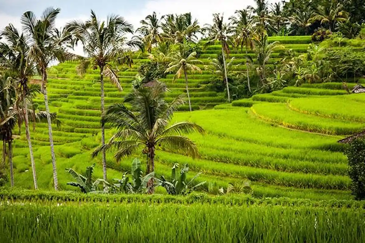 Video Lirik Lagu Indonesia Pusaka , Lagu Kebangsaan NKRI