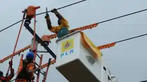 ILUSTRASI-PEGAWAI-PLN.jpg