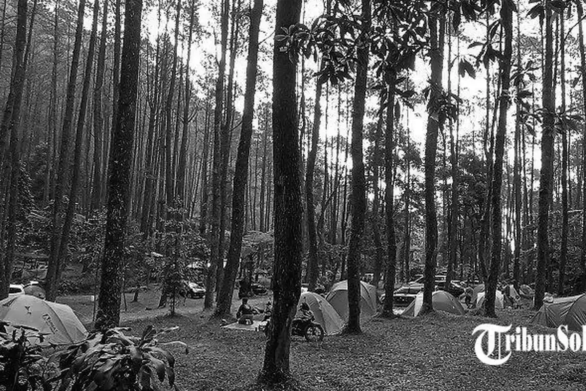 Hipotermia Penyebab Pelajar Solo Tewas, Sempat Ikut Penyalaan Api Unggun di Sekipan Tawangmangu