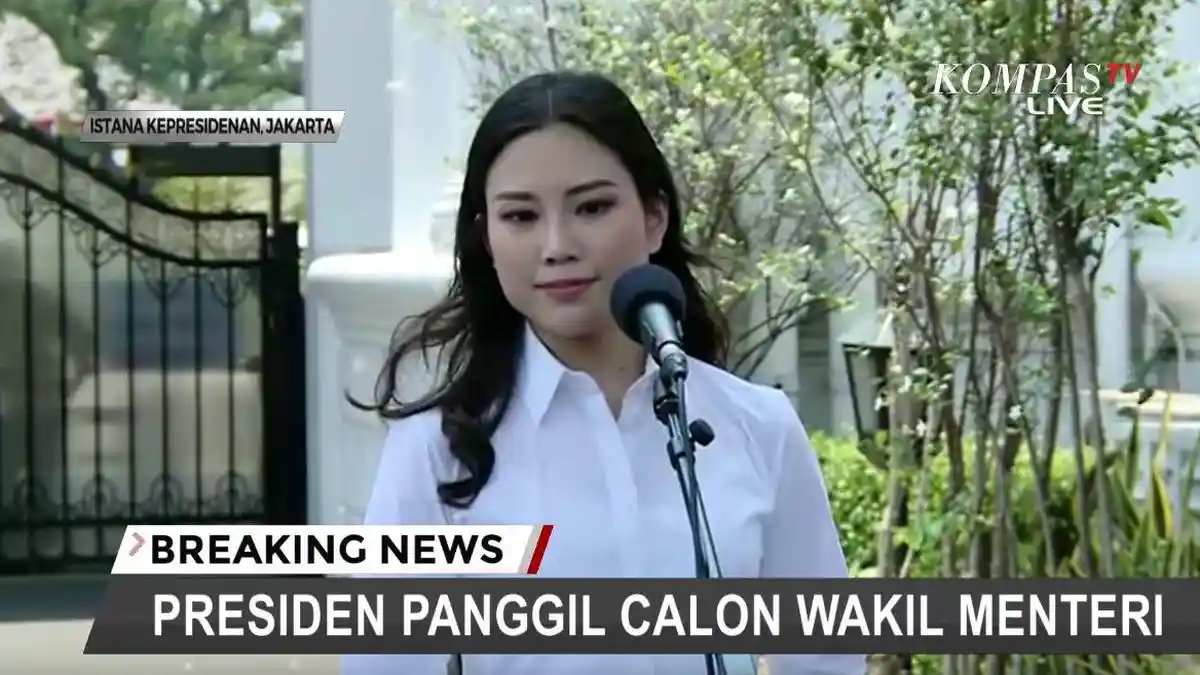 Profil 12 Calon Wakil Menteri yang Akan Dilantik Presiden Jokowi Siang Ini