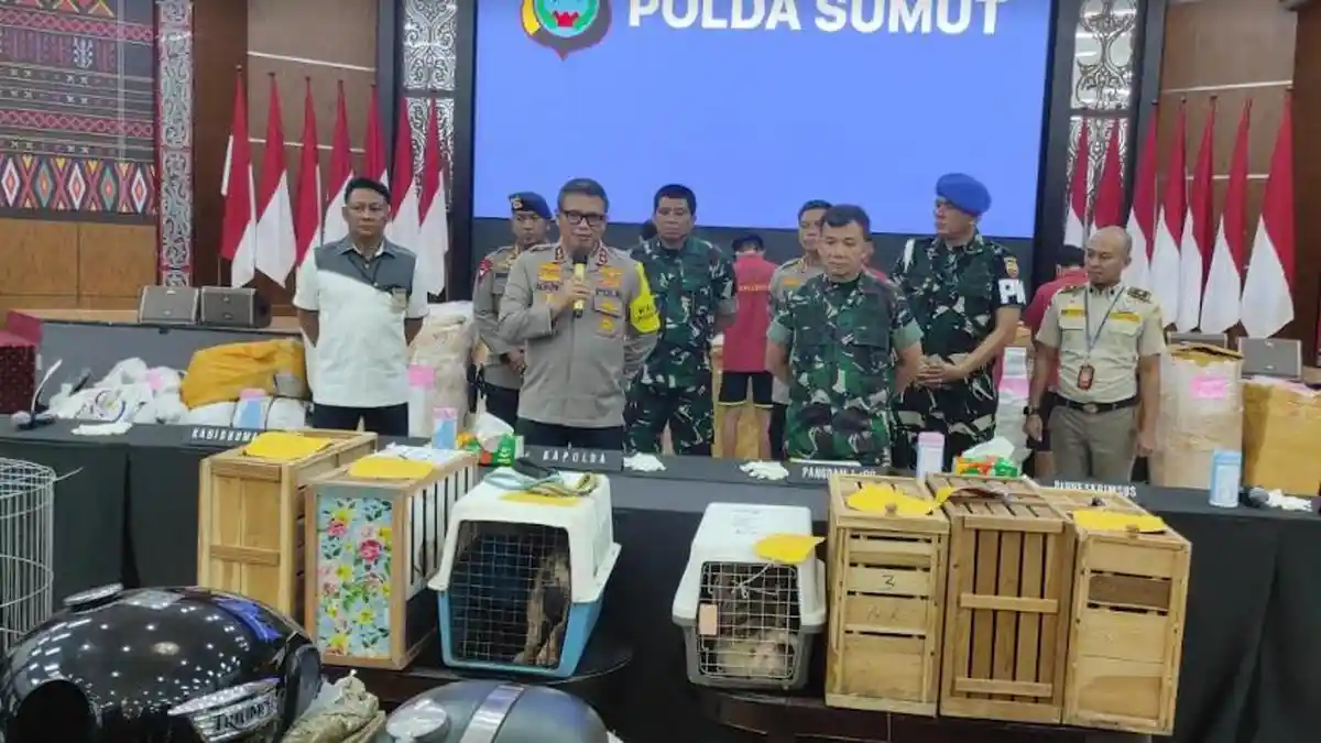 Kronologi Kodam I BB-Polda Sumut Bongkar Penyelundupan 17 Moge dan Ayam Laga Asal Thailand