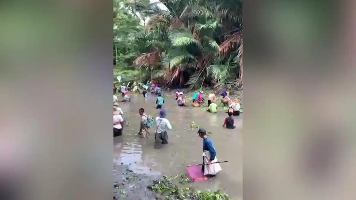 Bendung Telaga Langsat di HSS Kalsel Dibuka, Warga Ramai Berburu Ikan