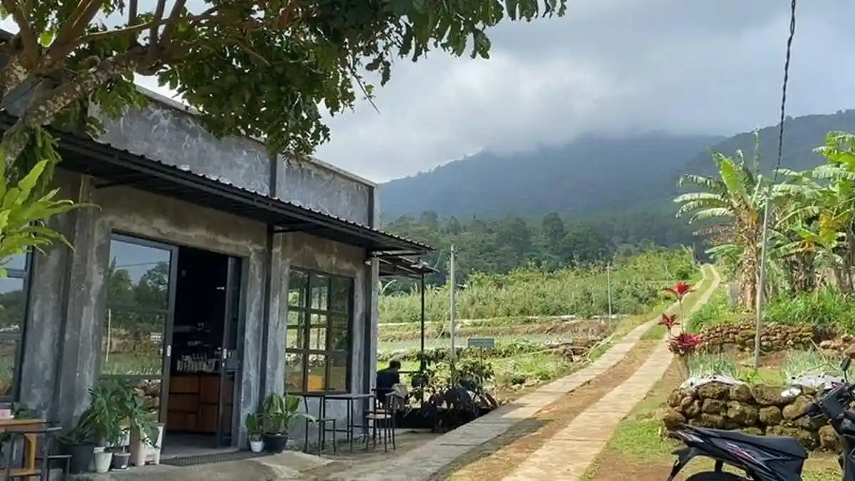 Ngopi di Atas Awan: Menyusuri Sejuknya Bantir Hill dan Aroma Kopi Lereng Ungaran