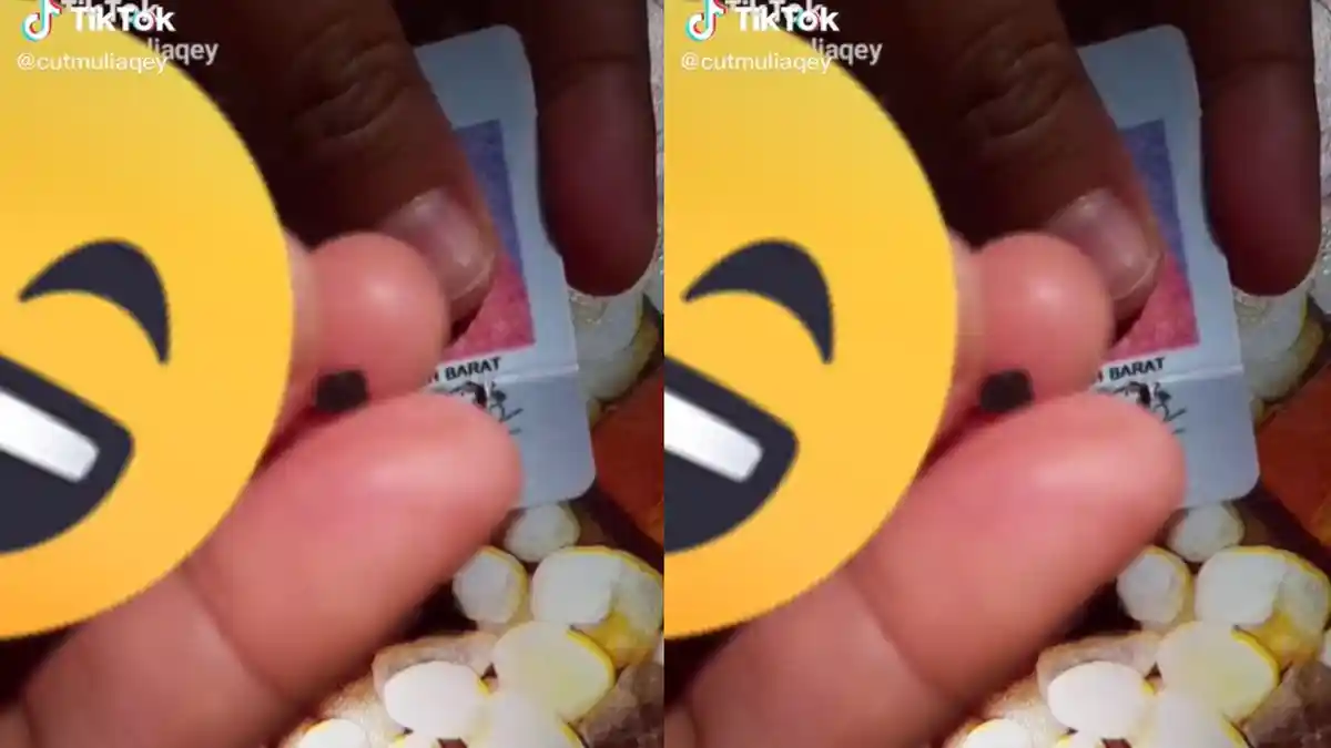 VIRAL Video Pembongkaran Chip E-KTP yang Disebut Dapat Melacak Seseorang, Begini Penjelasan Dukcapil