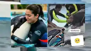 Fakta-Baru-Kematian-Tragis-Jessica-Orca-Dikabarkan-Tewas-Saat-Pertunjukkan-Paus-Orca.jpg