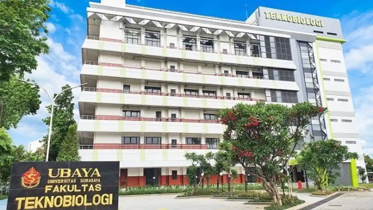 Contoh Soal SNBT 2023 Materi Pemahaman Umum, Cocok Untuk Calon Mahasiswa yang Mau Masuk UBAYA