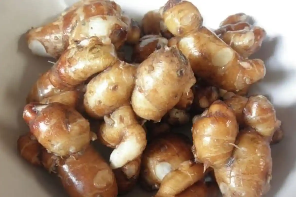 Kencur Bisa Bantu Atasi Radang Lambung, Berikut Manfaat Lainnya Serta Cara Mengolahnya 