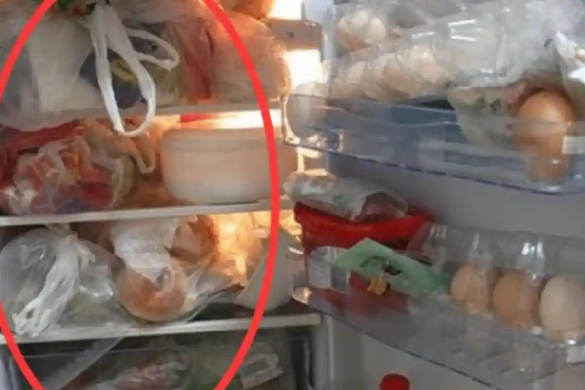 Hentikan Simpan Makanan Bersama Plastiknya di Kulkas, Banyak Resikonya Ganti dengan Cara Ini