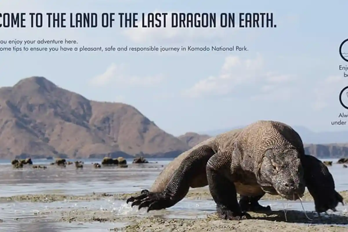 Wisata Labuan Bajo , Inilah 6 Pulau Eksotik Mesti Jadi Priorita saat Liburan Di Labuan Bajo dan TNK