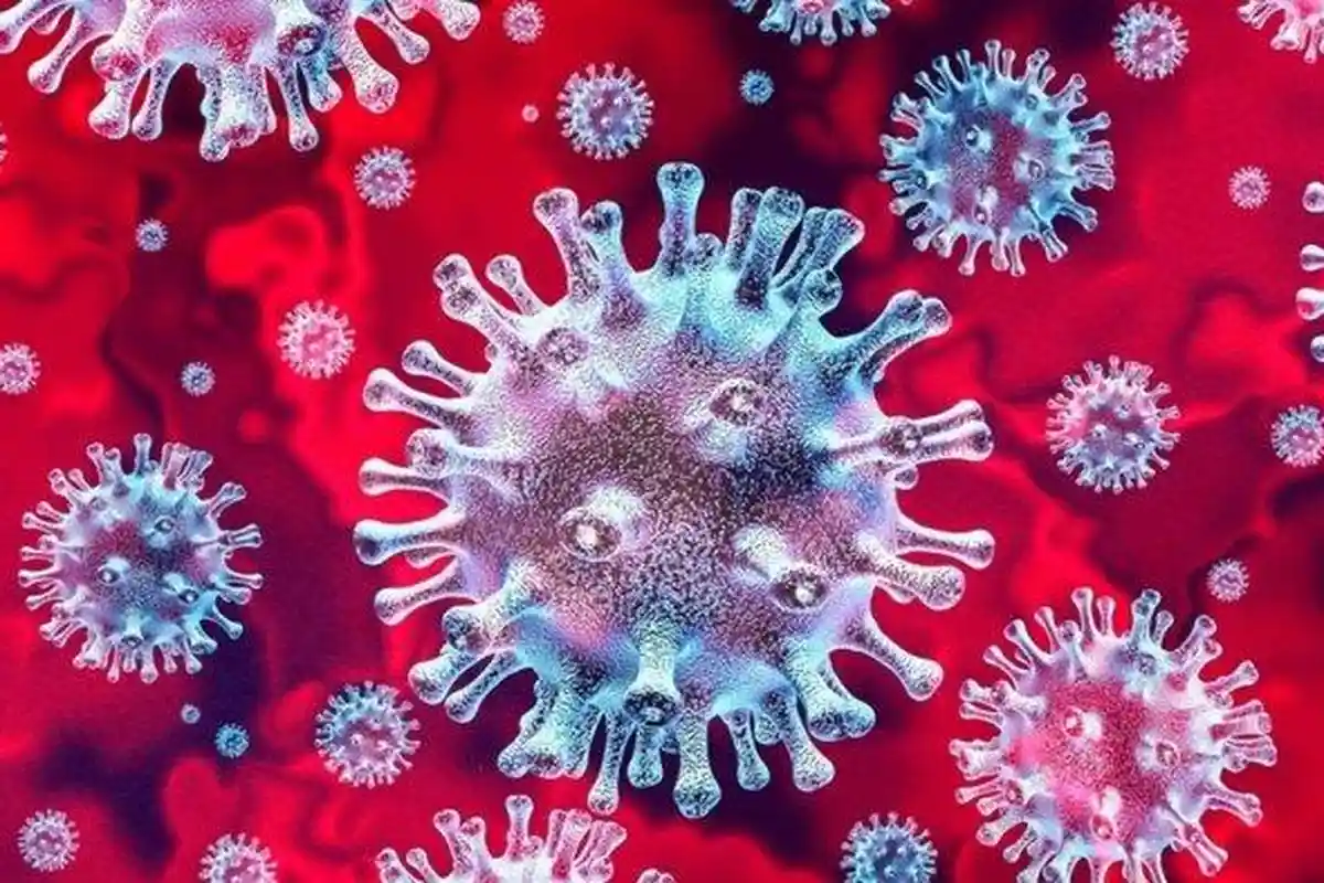 3 Kecamatan di Bandar Lampung dengan Kasus Covid-19 Terbanyak, Panjang Nomor Satu