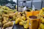 Limbah Medis RS Darurat Covid-19 Wisma Atlet Kemayoran