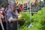 Minta Disdik Kembangkan Urban Farming dalam Kurikulum, Ita Ingin Anak Terbiasa Kegiatan Pertanian