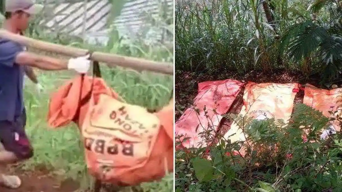 Sebanyak 11 Mayat Ditemukan Polisi dari Penyelidikan Dukun Palsu Pengganda Uang, Korban Diracun