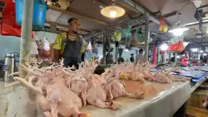 20251004_Rudi-Penjual-Ayam-Ras-di-Pasar-Klandasan-menyebut-harga-ayam-alami-kenaikan.jpg