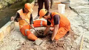 Pondok-Kelapa-siapin-kompos.jpg