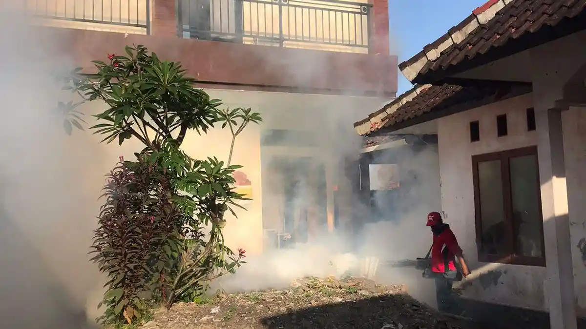 DBD di Denpasar Melesat, Capai 1.252 Kasus, Dinkes Siapkan Fogging ULV dan Gerakan 3M Plus