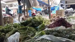 Swmbako-73h.jpg