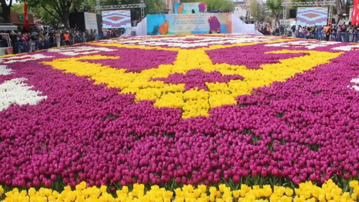 Ladang Tulip Terbesar di Dunia Sambut Turis di Istanbul