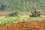TNI AD Latihan Demonstrasi Pertempuran TNI AD TA 2015