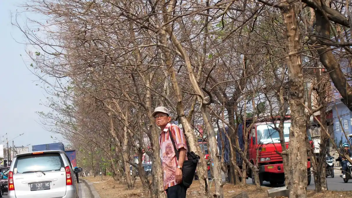Presiden Jokowi Minta Antisipasi Dampak El Nino untuk Nelayan dan Petani