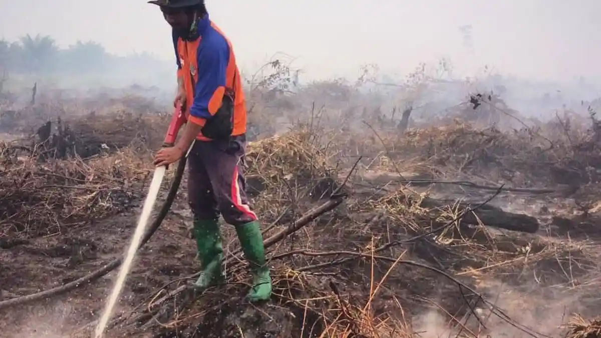 BPBD Tanjab Timur: Kebakaran 2019 Lebih Besar, Ribuan Hektar Lahan Terbakar