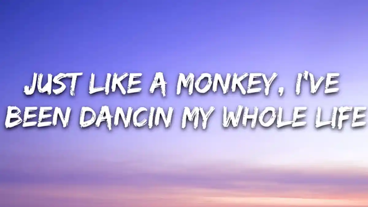 Lirik Lagu Dance Monkey - Tones And I Lengkap dengan Terjemahan, Lagu Viral Sampai Trending Topic