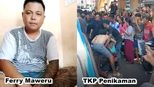 Tribun