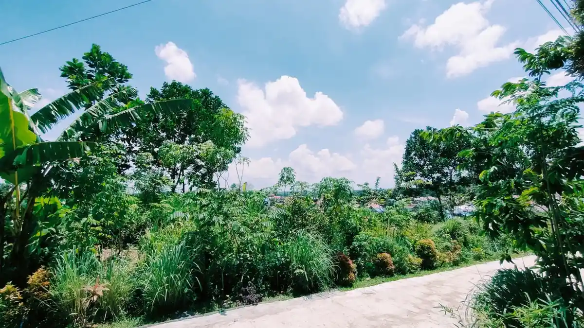 Prakiraan Cuaca Balikpapan Selasa 5 April 2022, Sepanjang Hari Bakal Cerah Berawan