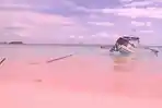 pantai-pink-di-kawasan-hutan-sekaroh-lombok-timur.jpg