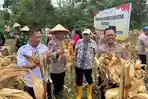 Panen Jagung di Sipirok, Brimob Polda Sumut Kawal Target Swasembada Pangan 2026