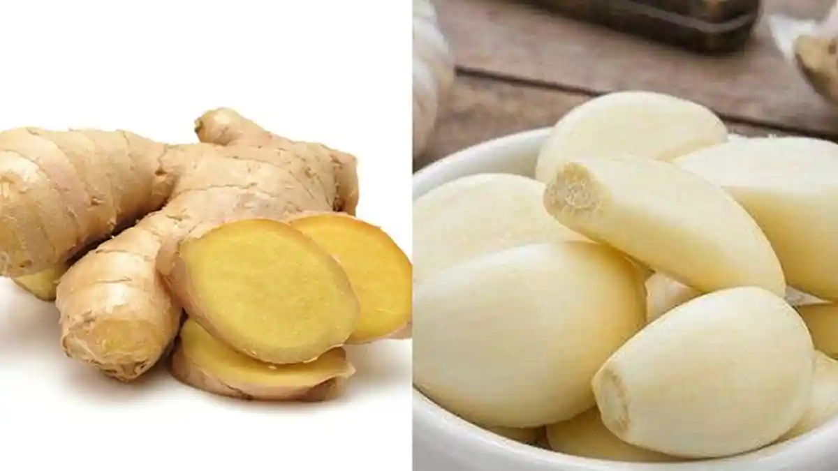 Kolestrol Minggat Hanya Minum Ramuan Jahe dan Bawang Putih, Lebih Ampuh dari Obat!
