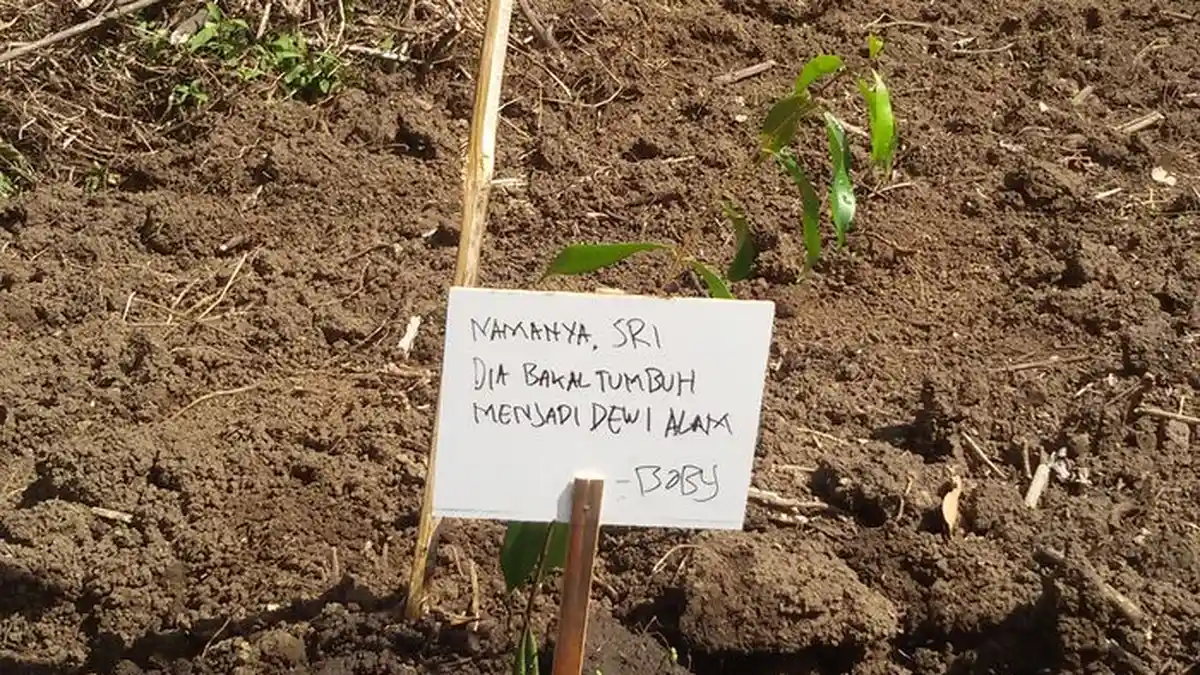 Namanya Sri, Dia Bakal Tumbuh Menjadi Dewi Alam