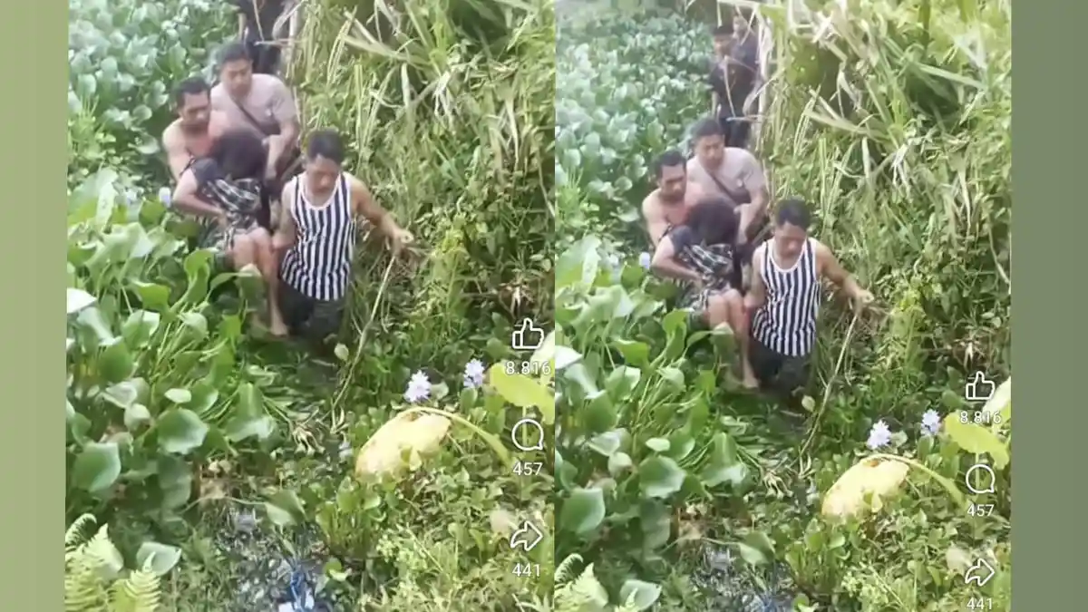 Seorang Warga di Maluku Tengah Diterkam Buaya, Dikabarkan Meninggal Dunia 